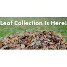 Leaf Collection
